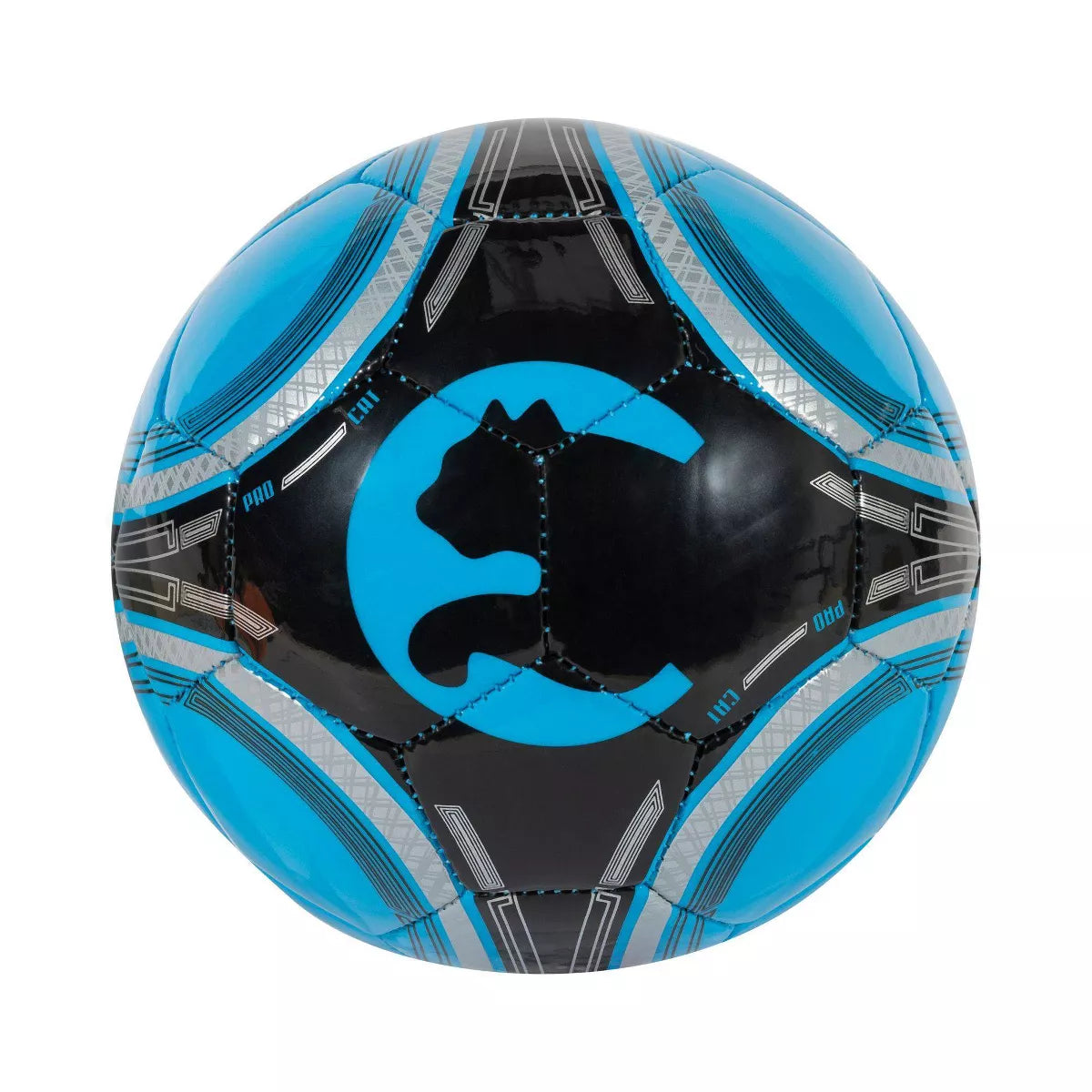ProCat Size 1 Mini Ball - Blue